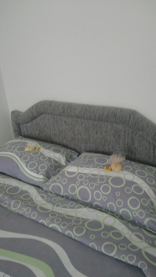 Apartment Holiday Колашин Экстерьер фото